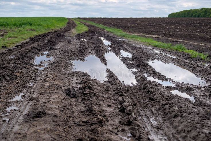 Mud and puddles on a dirt road after rain royalty free stock photos